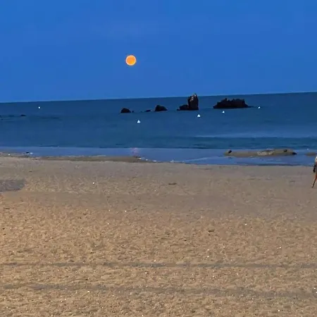 Entre 2 Plages : Vue Exceptionnelle Proche De La Et Du Centre 3* אגדה